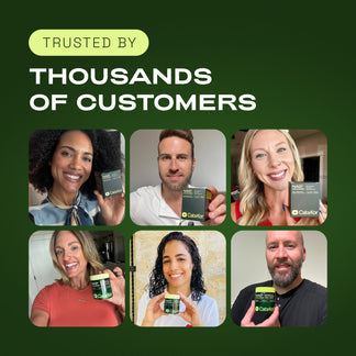 𝐂𝐚𝐭𝐚-𝐊𝐨𝐫 𝐍𝐀𝐃+ 𝐀𝐝𝐯𝐚𝐧𝐜𝐞𝐝 - 𝐍𝐀𝐃 𝐒𝐮𝐩𝐩𝐥𝐞𝐦𝐞𝐧𝐭 𝐰𝐢𝐭𝐡 𝐑𝐞𝐬𝐯𝐞𝐫𝐚𝐭𝐫𝐨𝐥